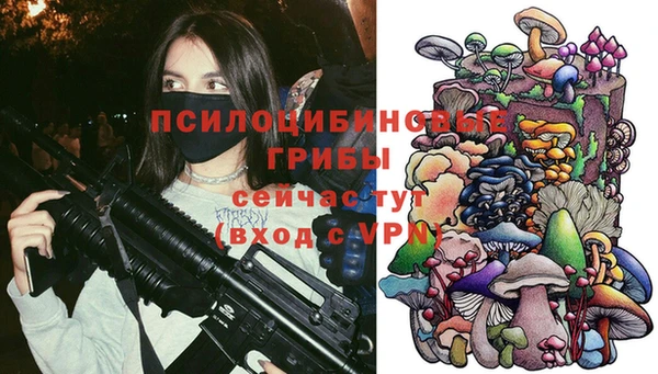 стаф Абинск