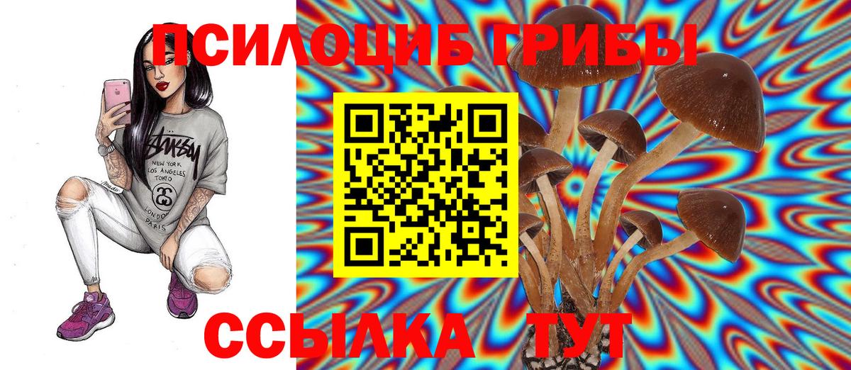 Псилоцибиновые грибы MAGIC MUSHROOMS  Галлюциногенные грибы Psilocybine cubensis  Вход с VPN  Белогорск 