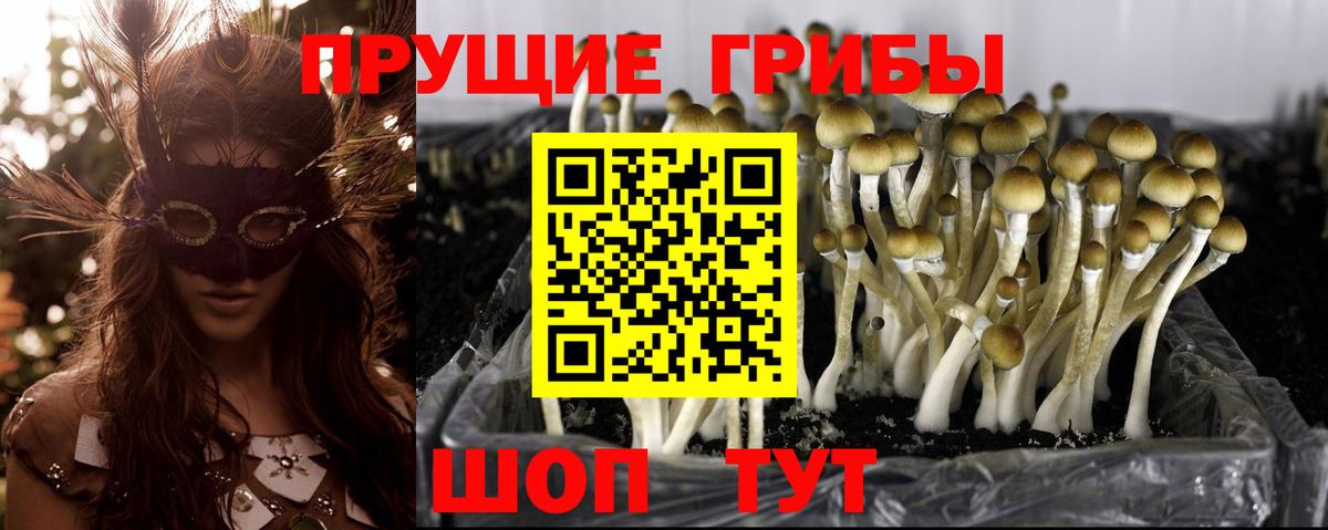 Галлюциногенные грибы GOLDEN TEACHER Белогорск