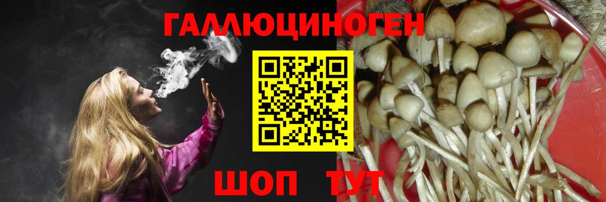 Псилоцибиновые грибы ЛСД  Псилоцибиновые грибы прущие грибы  Белогорск 